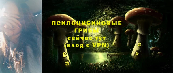 круглые Абаза