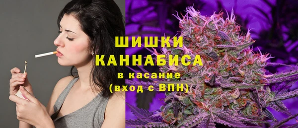 mix Пересвет