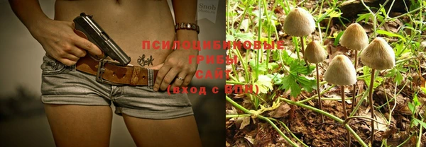 mix Пересвет